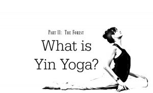 What is Yin Yoga