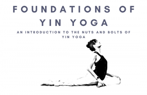 Yin Yoga Training Course